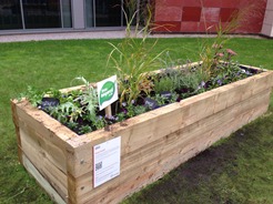 Planter in Mary Seacole Courtyard