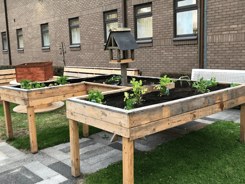 Community growing space with bird feeder