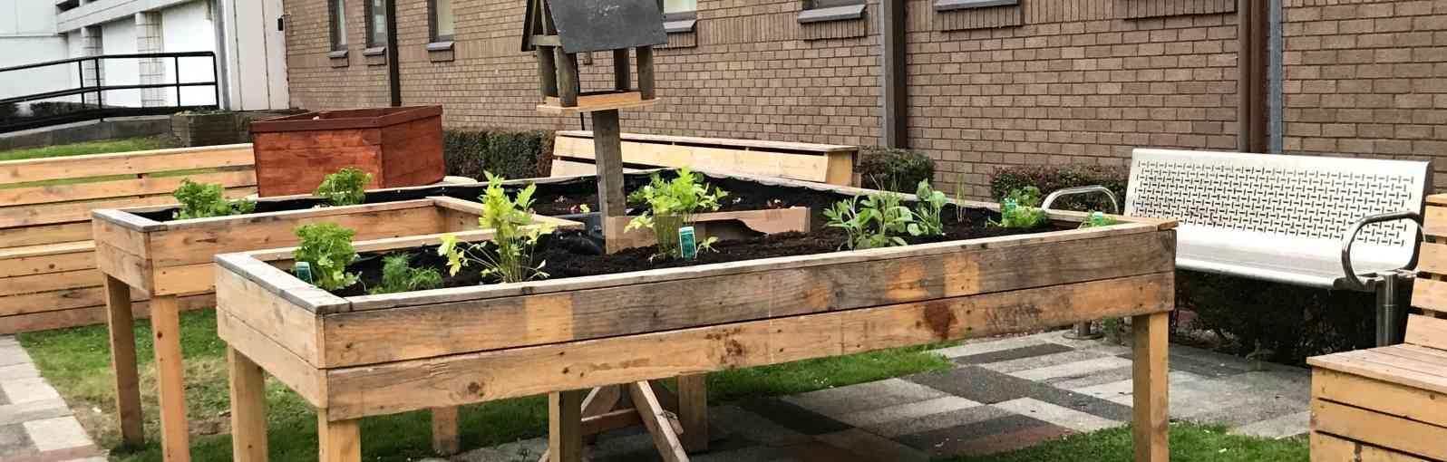 Community growing space with bird feeder